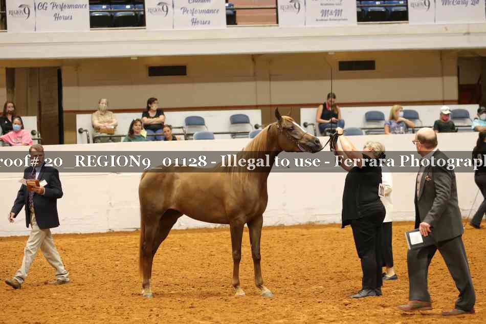 Proof 20_REGION9_01128