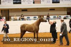 20_REGION9_01128 proof