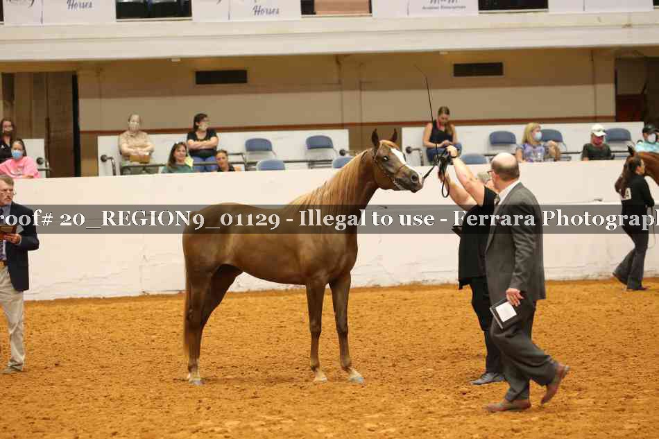 Proof 20_REGION9_01129
