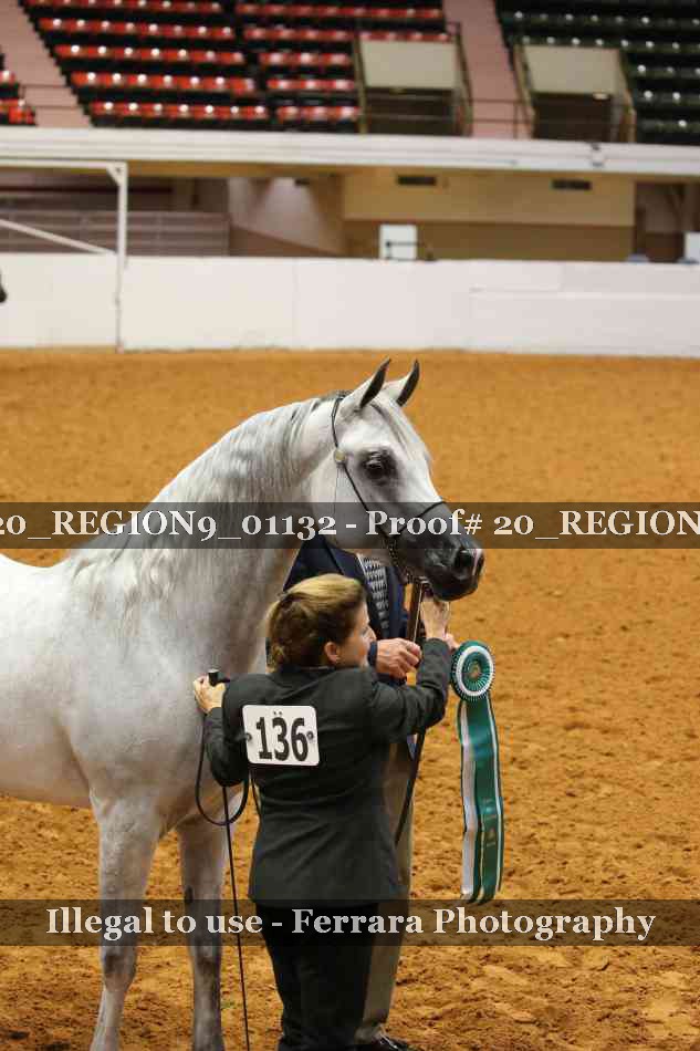 Proof 20_REGION9_01132