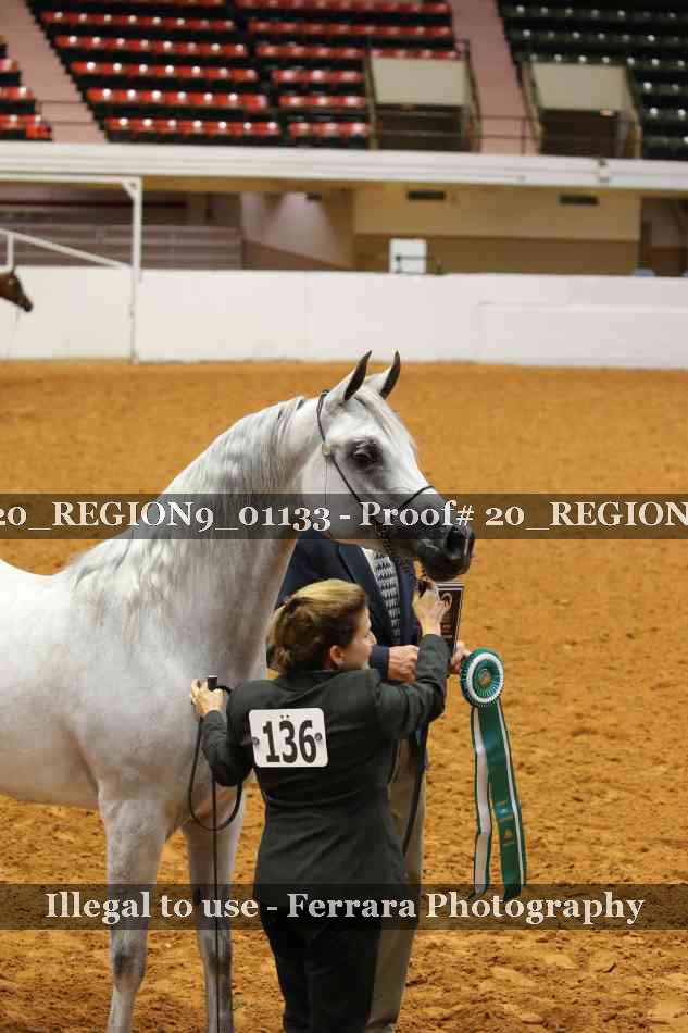 Proof 20_REGION9_01133