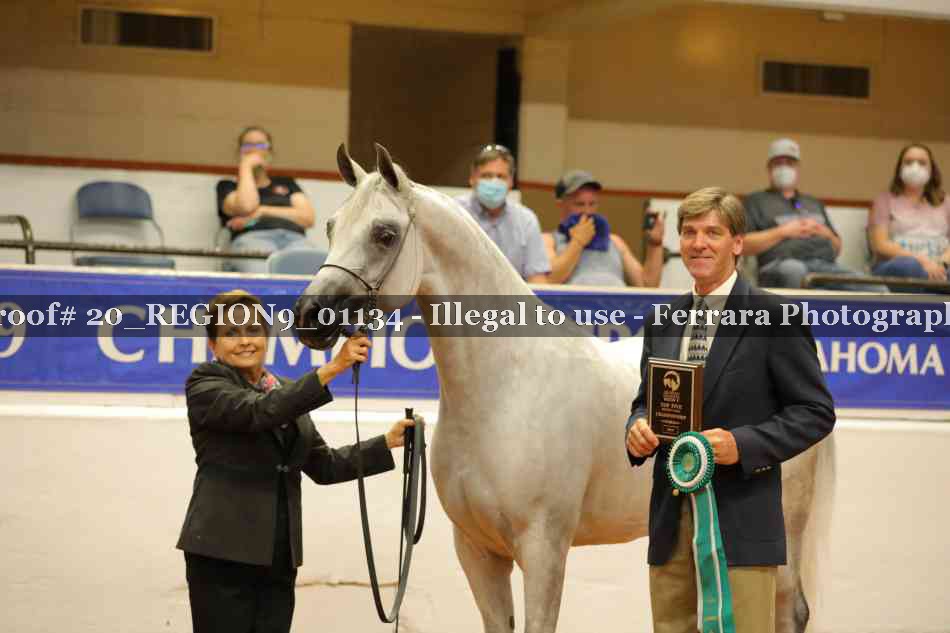 Proof 20_REGION9_01134