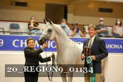 20_REGION9_01134 proof