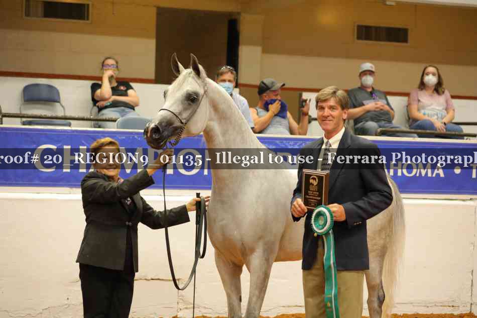 Proof 20_REGION9_01135