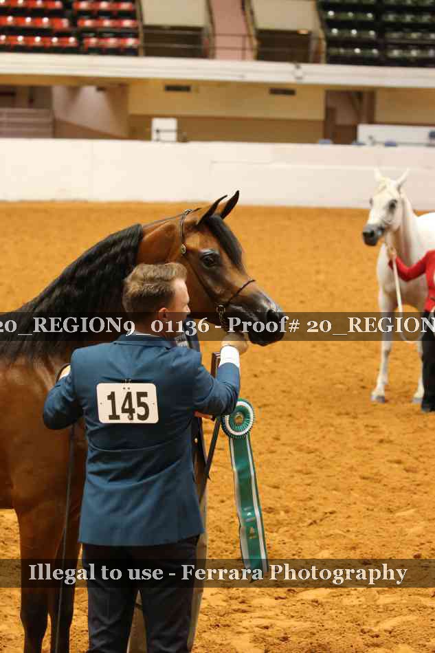 Proof 20_REGION9_01136