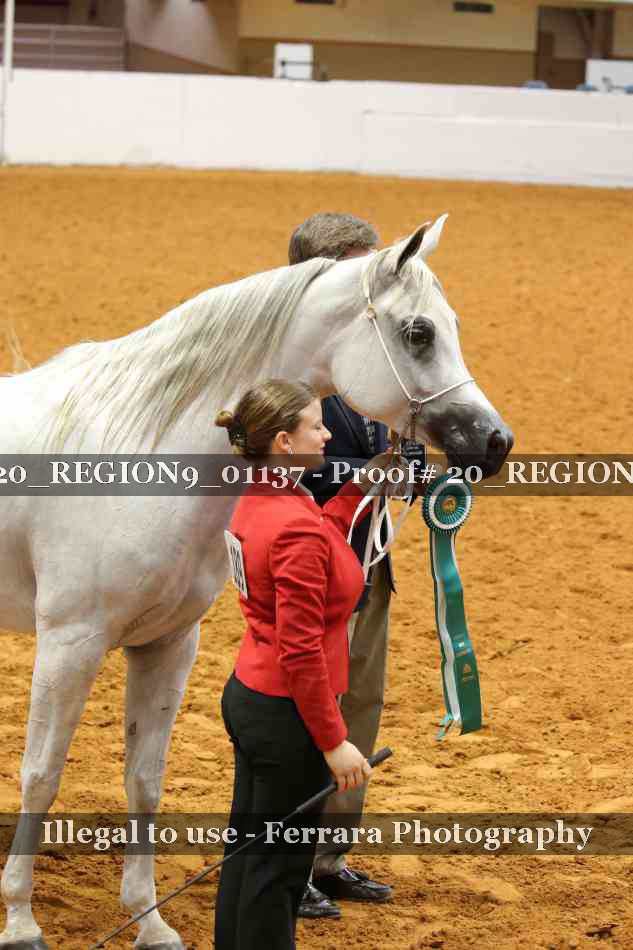 Proof 20_REGION9_01137