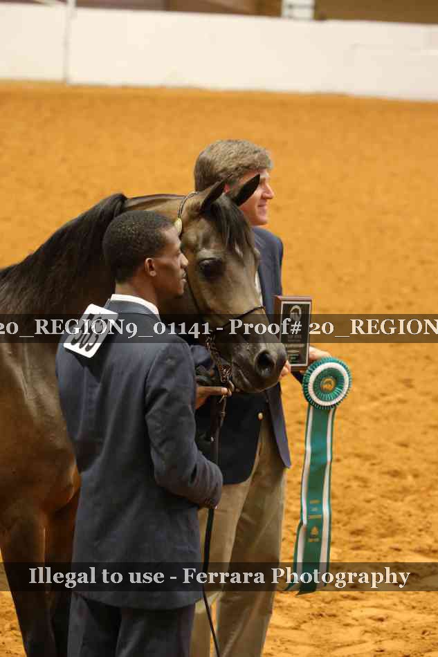 Proof 20_REGION9_01141