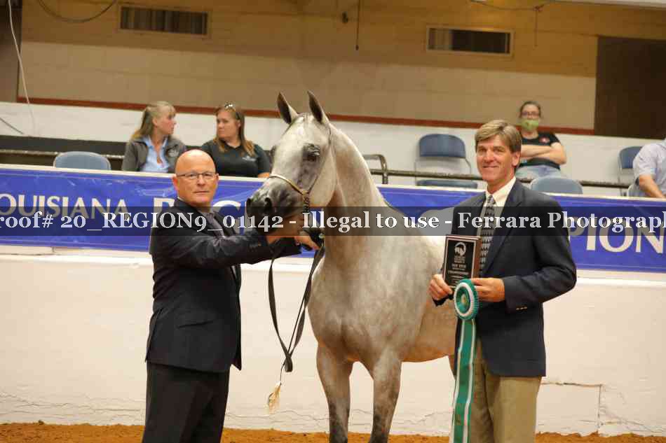 Proof 20_REGION9_01142