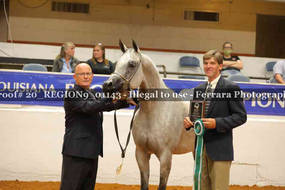 Proof 20_REGION9_01143