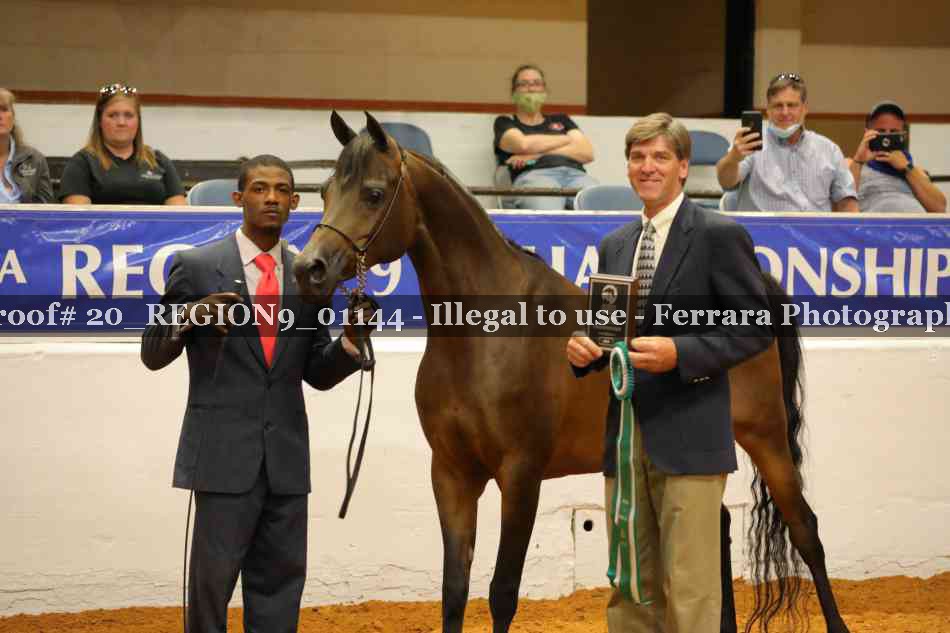 Proof 20_REGION9_01144