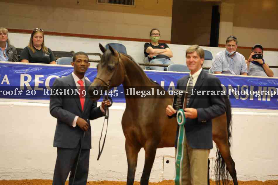Proof 20_REGION9_01145