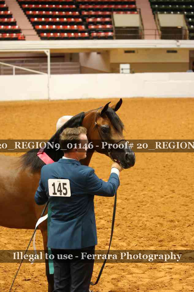 Proof 20_REGION9_01146