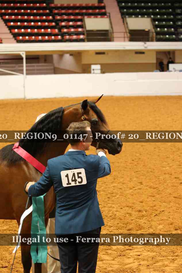 Proof 20_REGION9_01147
