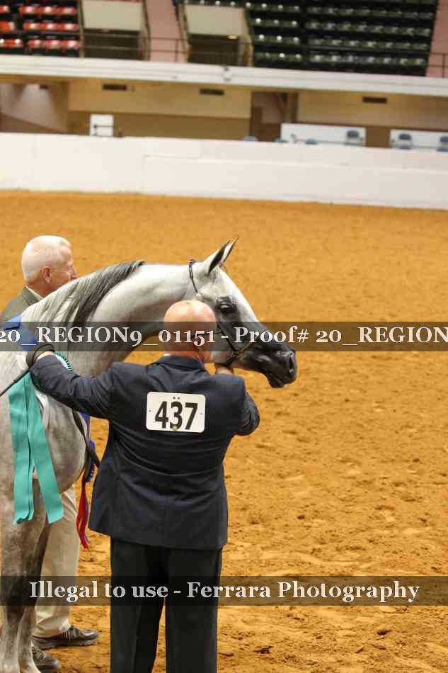 Proof 20_REGION9_01151