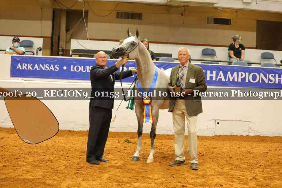 Proof 20_REGION9_01153