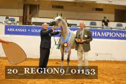 20_REGION9_01153 proof