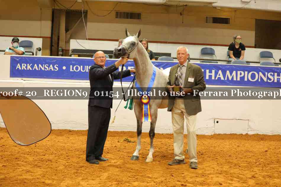 Proof 20_REGION9_01154