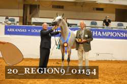 20_REGION9_01154 proof