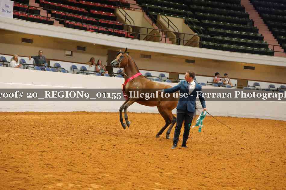 Proof 20_REGION9_01155