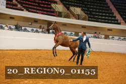20_REGION9_01155 proof