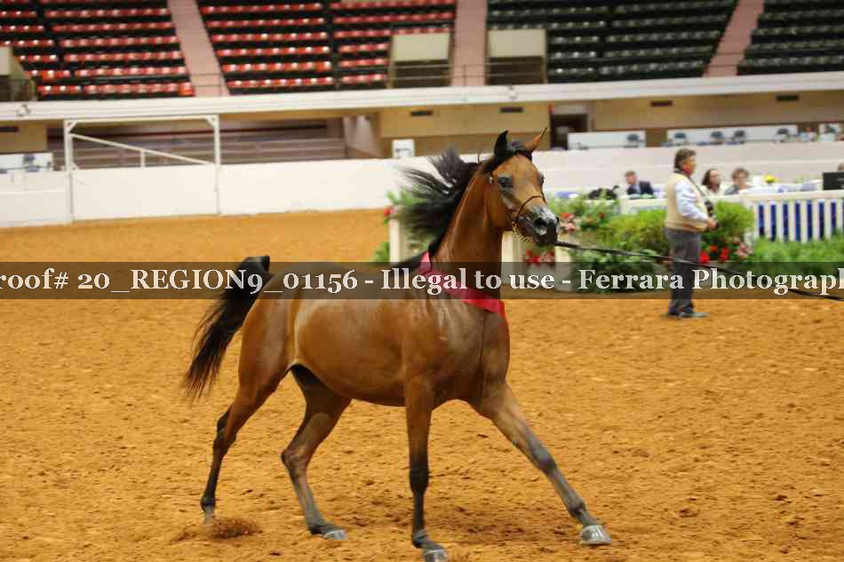 Proof 20_REGION9_01156