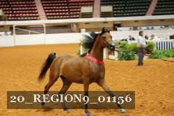 20_REGION9_01156 proof