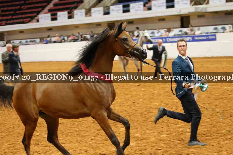 Proof 20_REGION9_01157