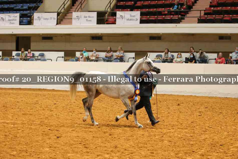 Proof 20_REGION9_01158