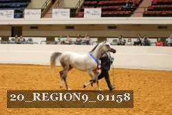 20_REGION9_01158 proof