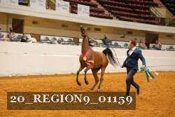 20_REGION9_01159 proof