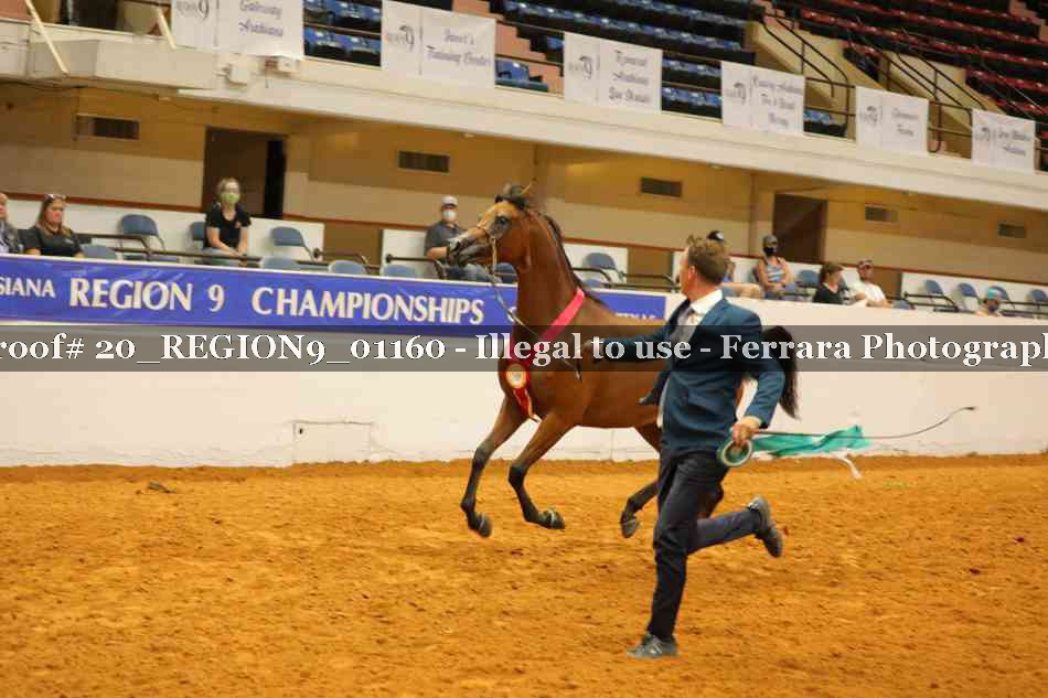 Proof 20_REGION9_01160