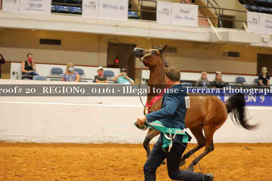 Proof 20_REGION9_01161