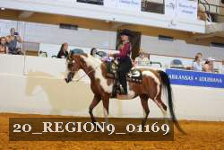 20_REGION9_01169 proof