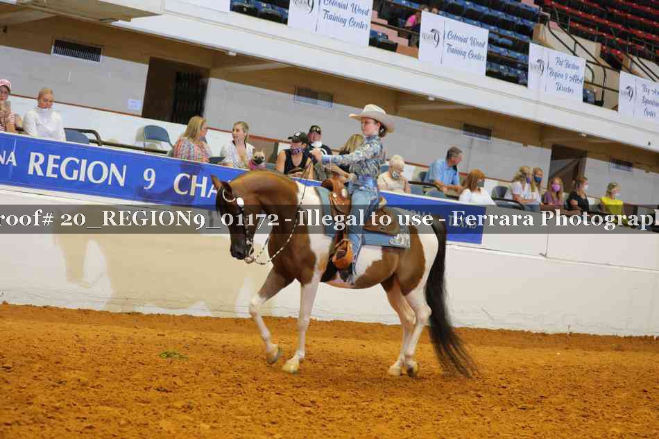 Proof 20_REGION9_01172