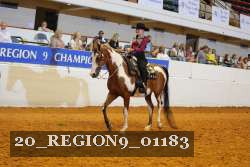 20_REGION9_01183 proof