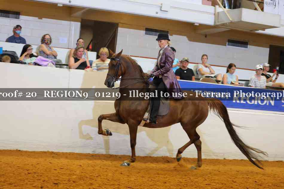 Proof 20_REGION9_01219