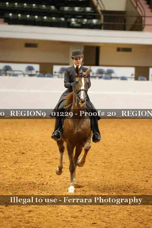 Proof 20_REGION9_01229
