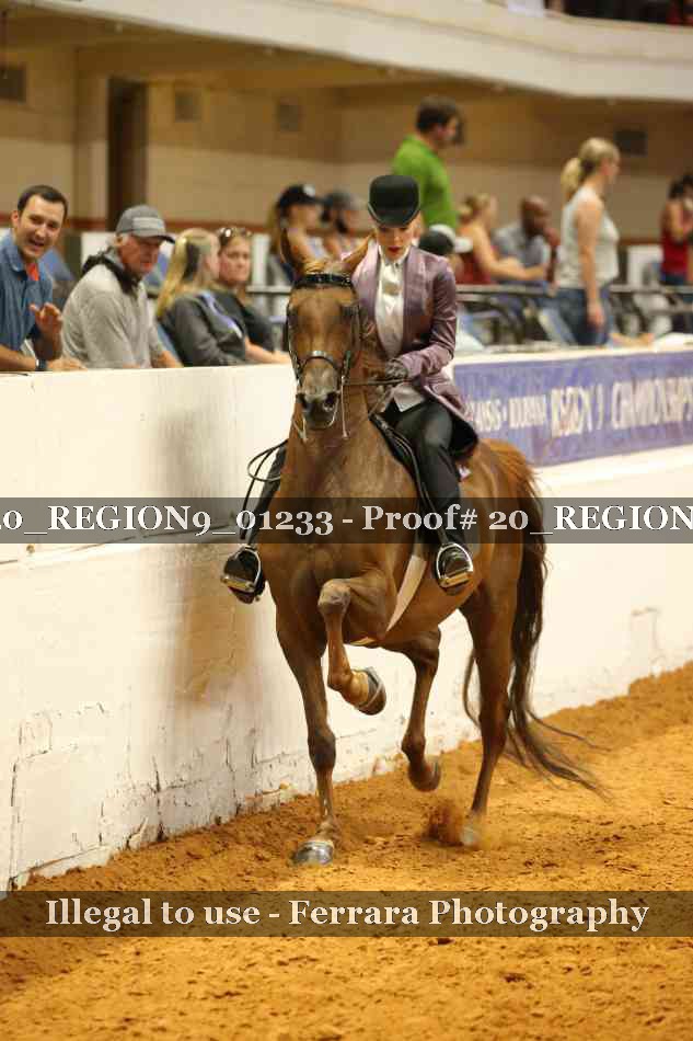 Proof 20_REGION9_01233