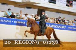 20_REGION9_01238 proof