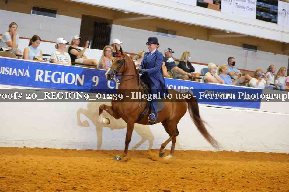 Proof 20_REGION9_01239