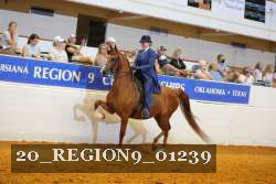 20_REGION9_01239 proof