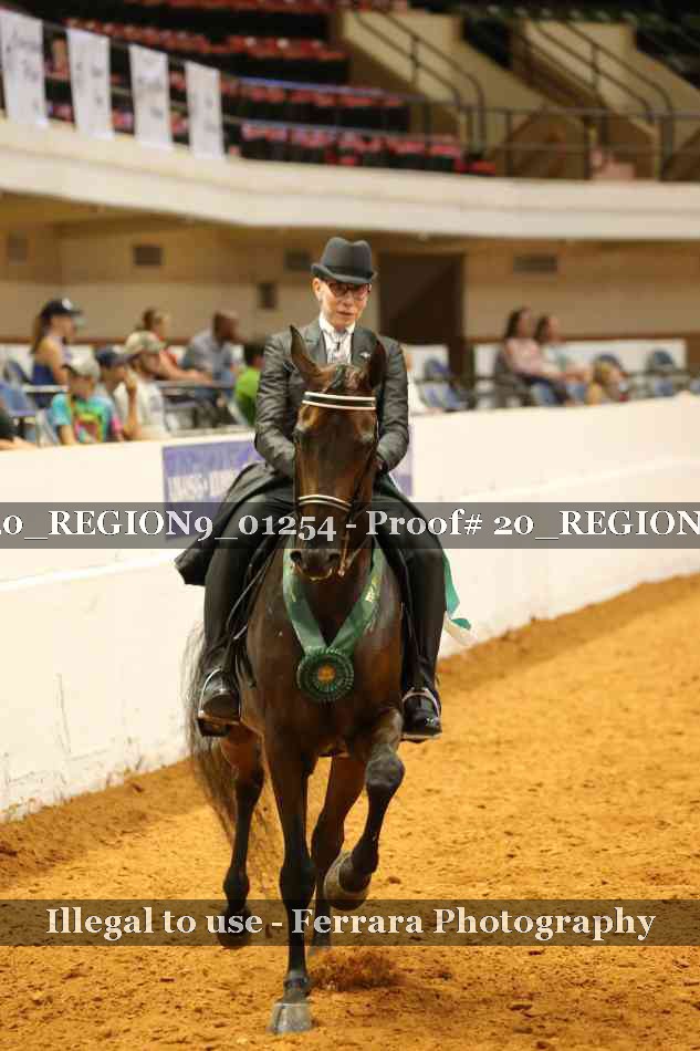 Proof 20_REGION9_01254