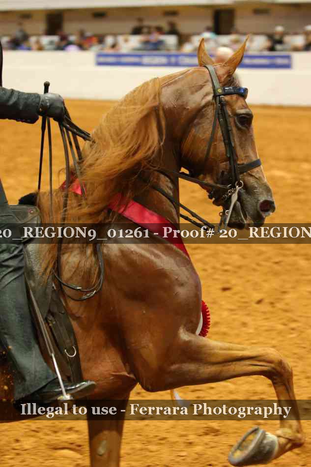 Proof 20_REGION9_01261