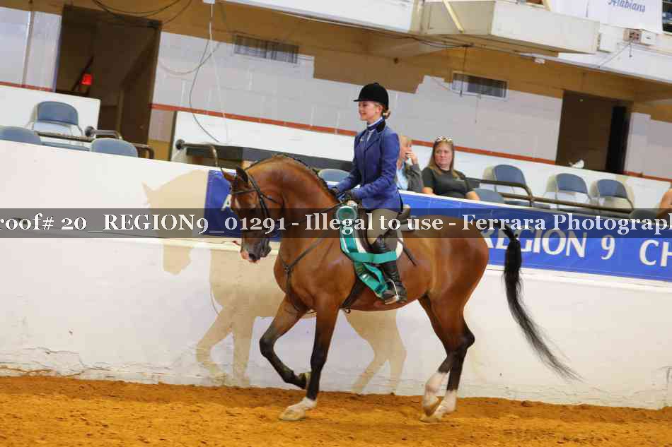Proof 20_REGION9_01291