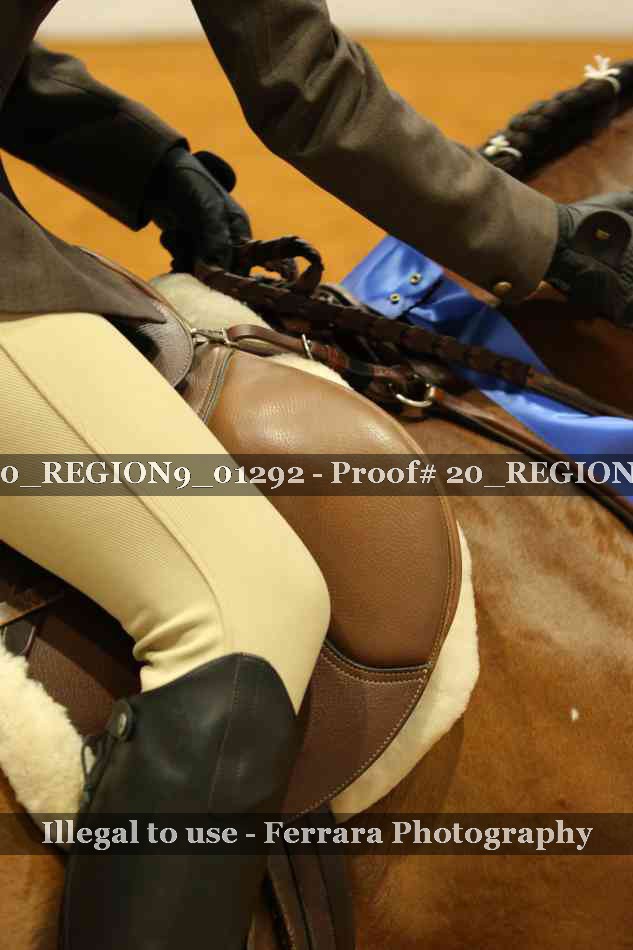 Proof 20_REGION9_01292