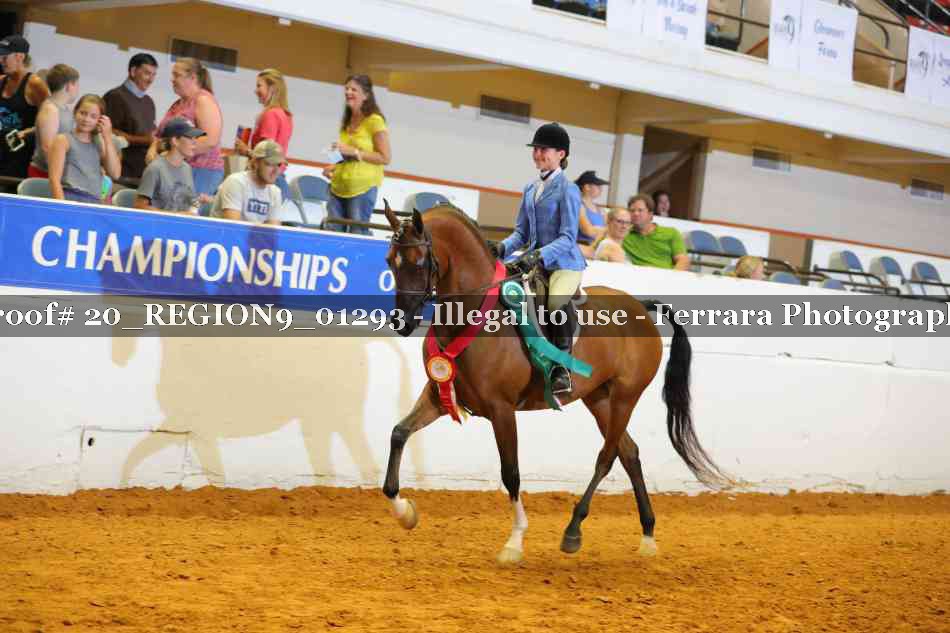 Proof 20_REGION9_01293
