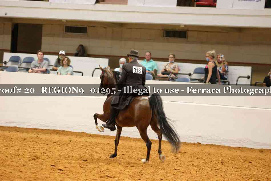 Proof 20_REGION9_01295