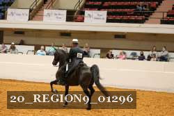 20_REGION9_01296 proof