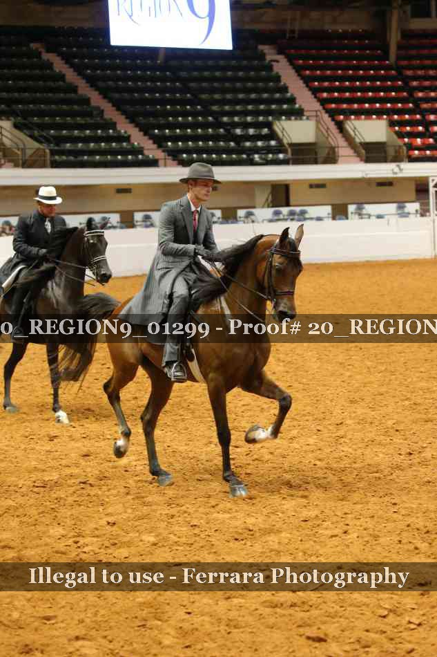 Proof 20_REGION9_01299