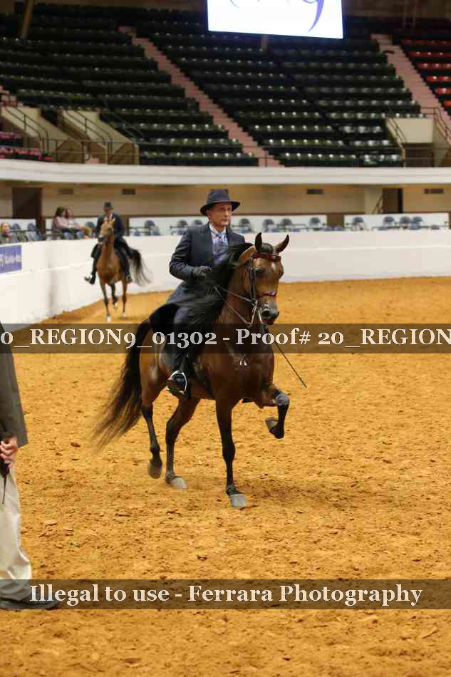Proof 20_REGION9_01302